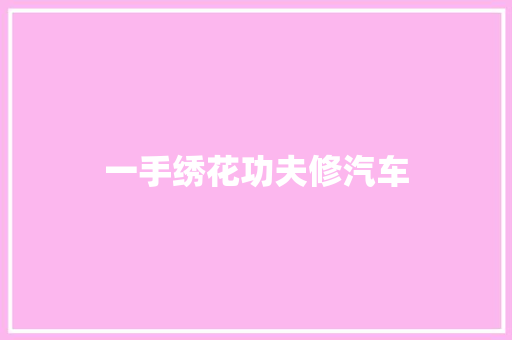 一手绣花功夫修汽车