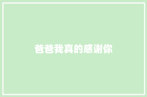 爸爸我真的感谢你