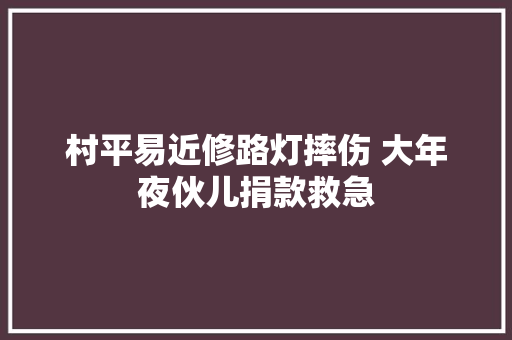 村平易近修路灯摔伤 大年夜伙儿捐款救急