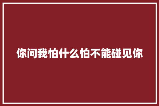 你问我怕什么怕不能碰见你