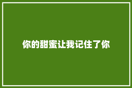 你的甜蜜让我记住了你