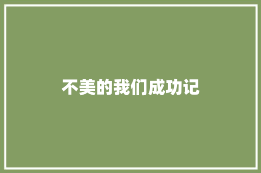 不美的我们成功记