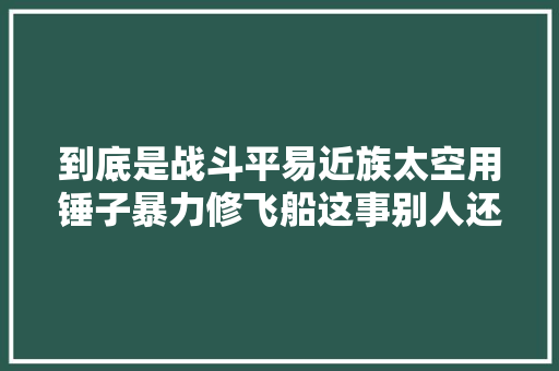 到底是战斗平易近族太空用锤子暴力修飞船这事别人还真干不出来