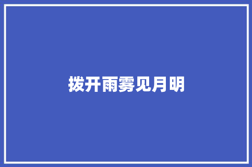 拨开雨雾见月明