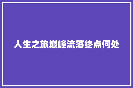 人生之旅巅峰流落终点何处