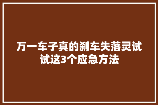 万一车子真的刹车失落灵试试这3个应急方法