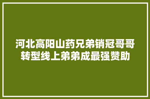 河北高阳山药兄弟销冠哥哥转型线上弟弟成最强赞助