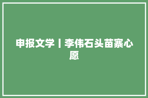 申报文学丨李伟石头苗寨心愿