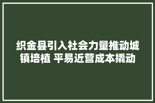 织金县引入社会力量推动城镇培植 平易近营成本撬动平远古镇拔地而起