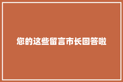 您的这些留言市长回答啦