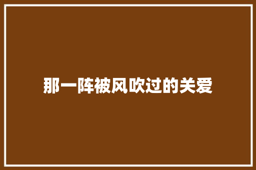 那一阵被风吹过的关爱