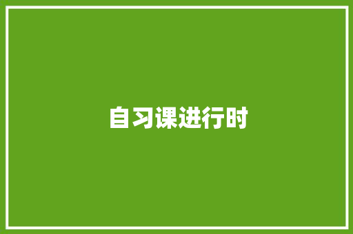 自习课进行时