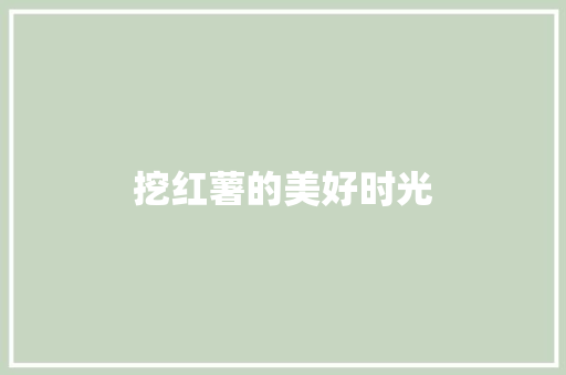 挖红薯的美好时光