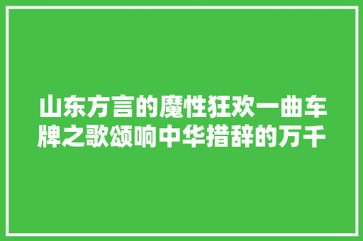 山东方言的魔性狂欢一曲车牌之歌颂响中华措辞的万千风情