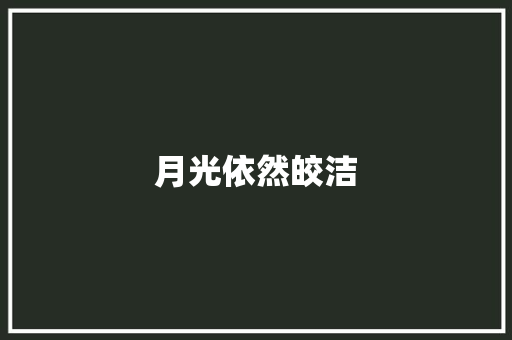 月光依然皎洁