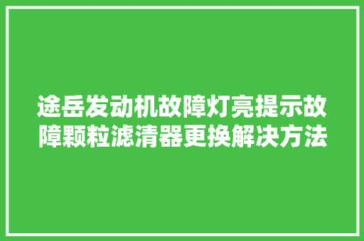 途岳发动机故障灯亮提示故障颗粒滤清器更换解决方法需要知道