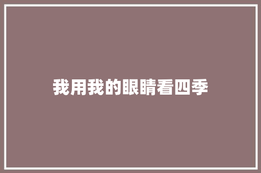 我用我的眼睛看四季