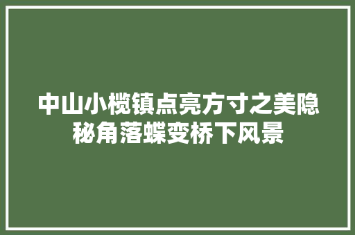 中山小榄镇点亮方寸之美隐秘角落蝶变桥下风景