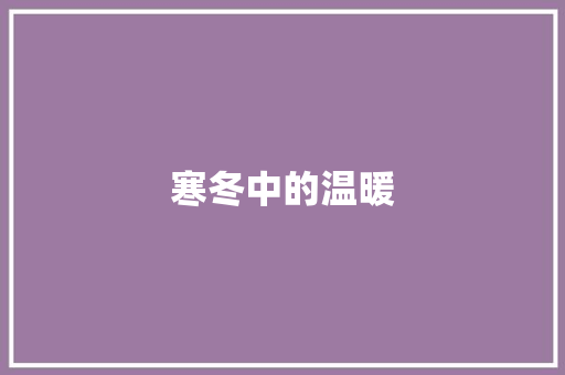 寒冬中的温暖