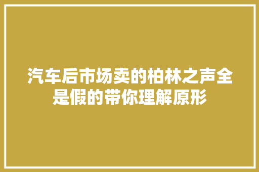 汽车后市场卖的柏林之声全是假的带你理解原形