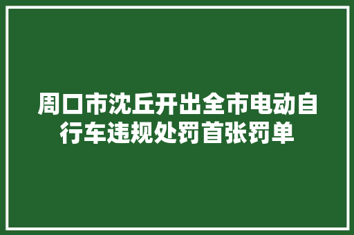 周口市沈丘开出全市电动自行车违规处罚首张罚单