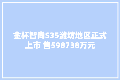 金杯智尚S35潍坊地区正式上市 售598738万元