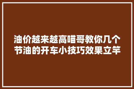 油价越来越高喵哥教你几个节油的开车小技巧效果立竿见影