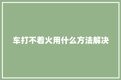 车打不着火用什么方法解决