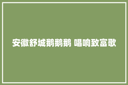 安徽舒城鹅鹅鹅 唱响致富歌