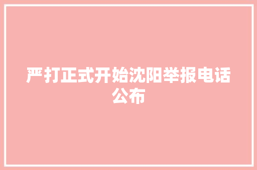 严打正式开始沈阳举报电话公布