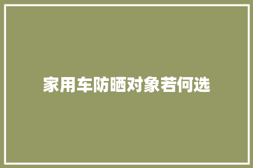 家用车防晒对象若何选