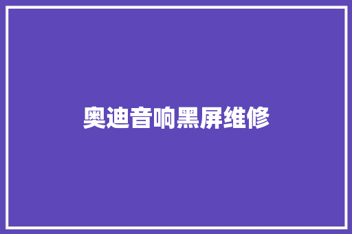 奥迪音响黑屏维修