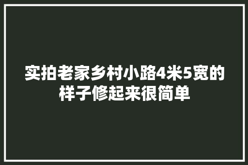 实拍老家乡村小路4米5宽的样子修起来很简单