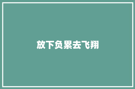 放下负累去飞翔