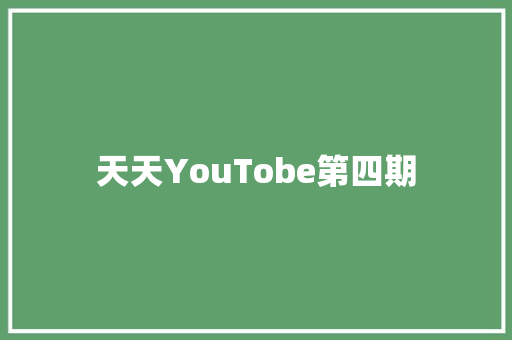 天天YouTobe第四期