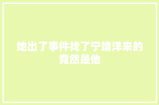 她出了事件找了宁靖洋来的竟然是他