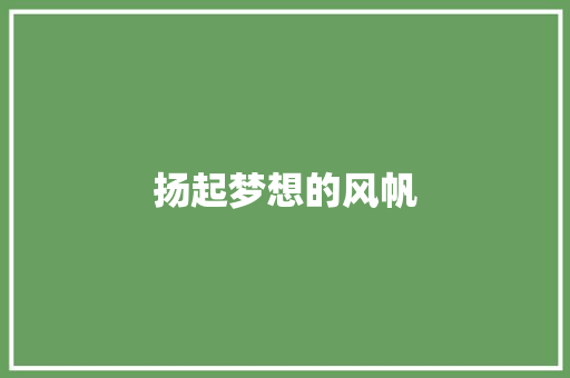 扬起梦想的风帆