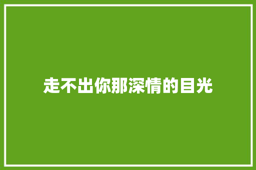 走不出你那深情的目光