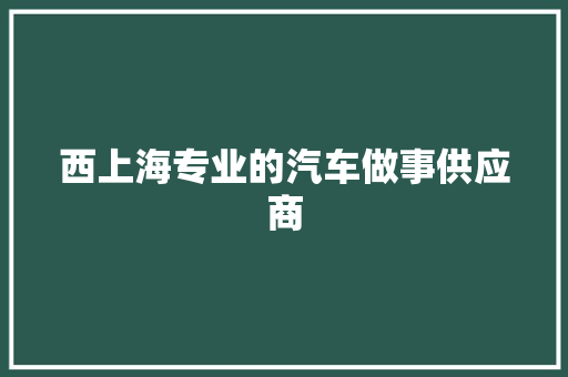 西上海专业的汽车做事供应商