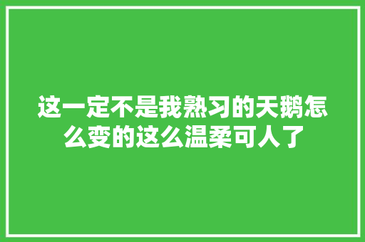 这一定不是我熟习的天鹅怎么变的这么温柔可人了