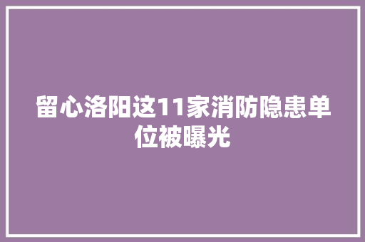 留心洛阳这11家消防隐患单位被曝光