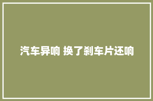 汽车异响 换了刹车片还响