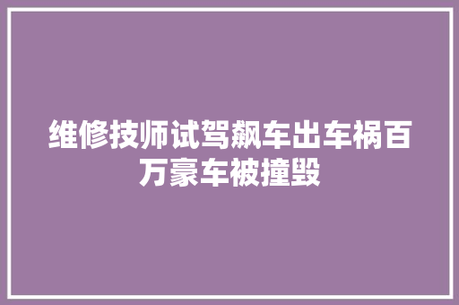 维修技师试驾飙车出车祸百万豪车被撞毁