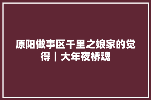 原阳做事区千里之娘家的觉得｜大年夜桥魂