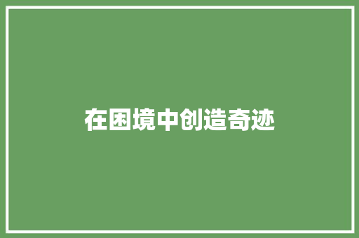 在困境中创造奇迹