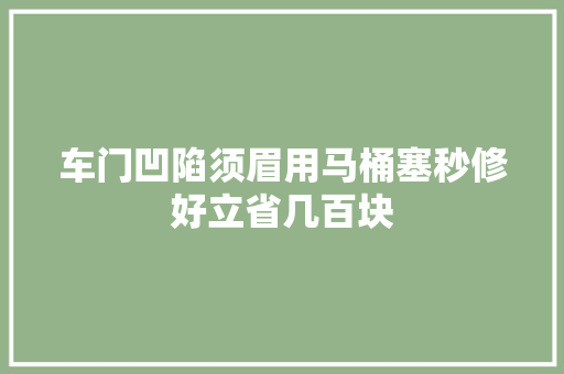 车门凹陷须眉用马桶塞秒修好立省几百块
