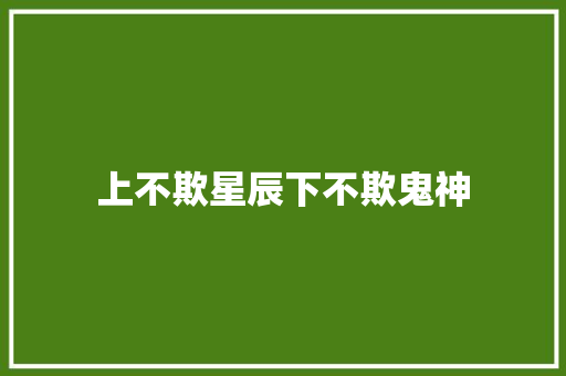 上不欺星辰下不欺鬼神