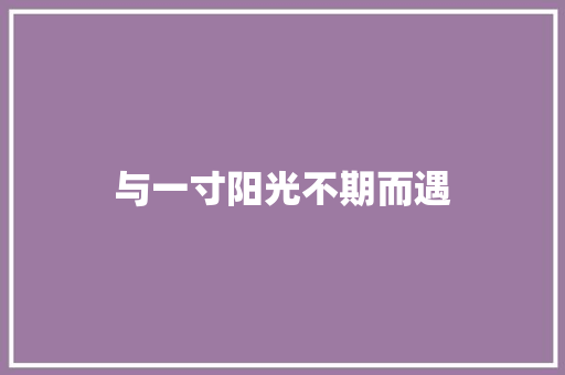 与一寸阳光不期而遇