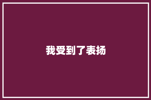 我受到了表扬