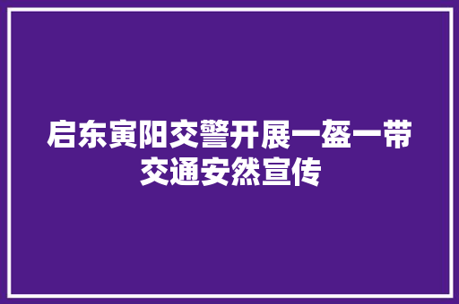 启东寅阳交警开展一盔一带交通安然宣传